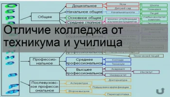 Колледж и техникум: в чем сходства и различия?